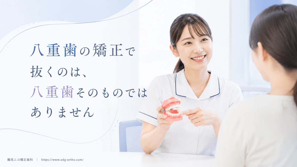 八重歯の矯正で抜くのは、八重歯そのものではありません